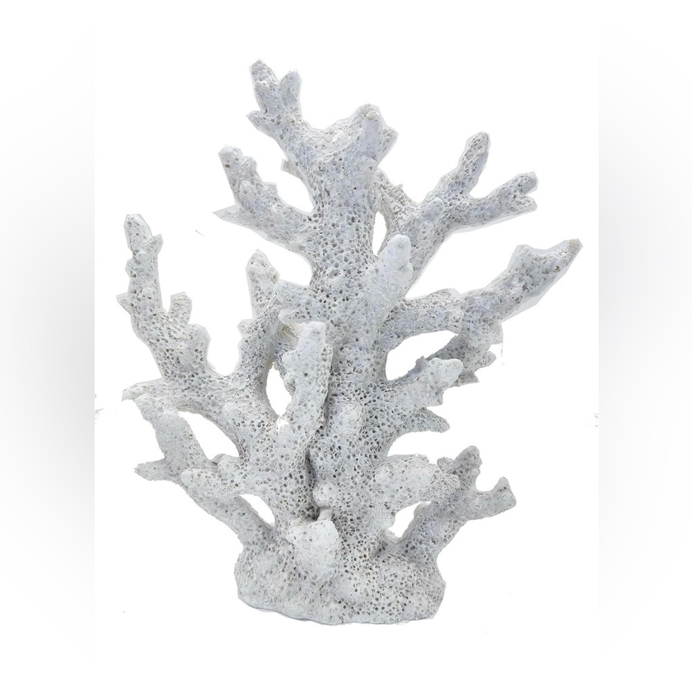 White Coral Decor Piece